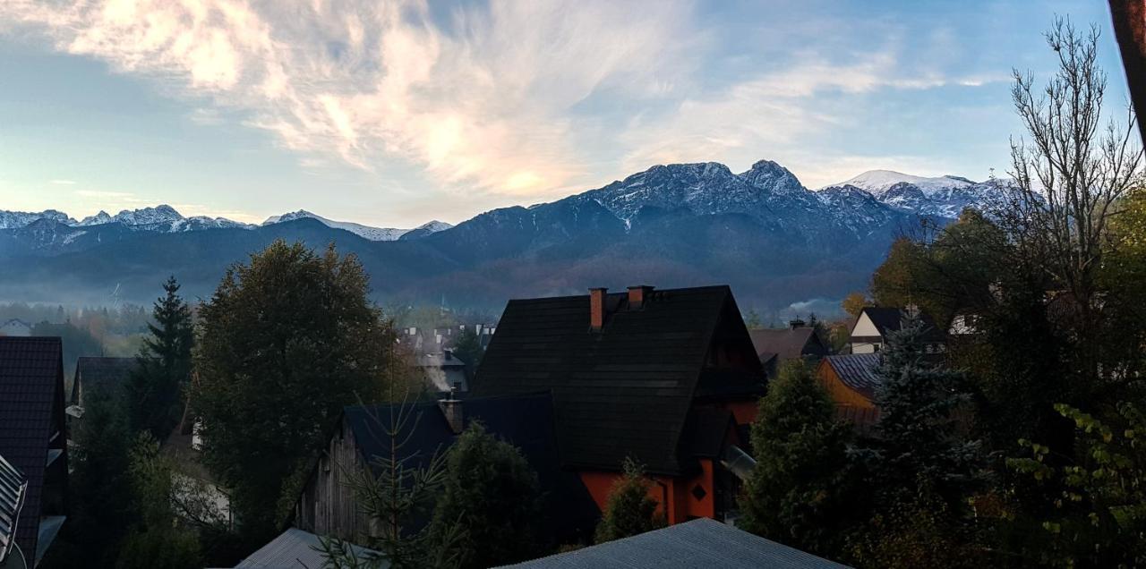 Willa Ceprowka Zakopane Extérieur photo